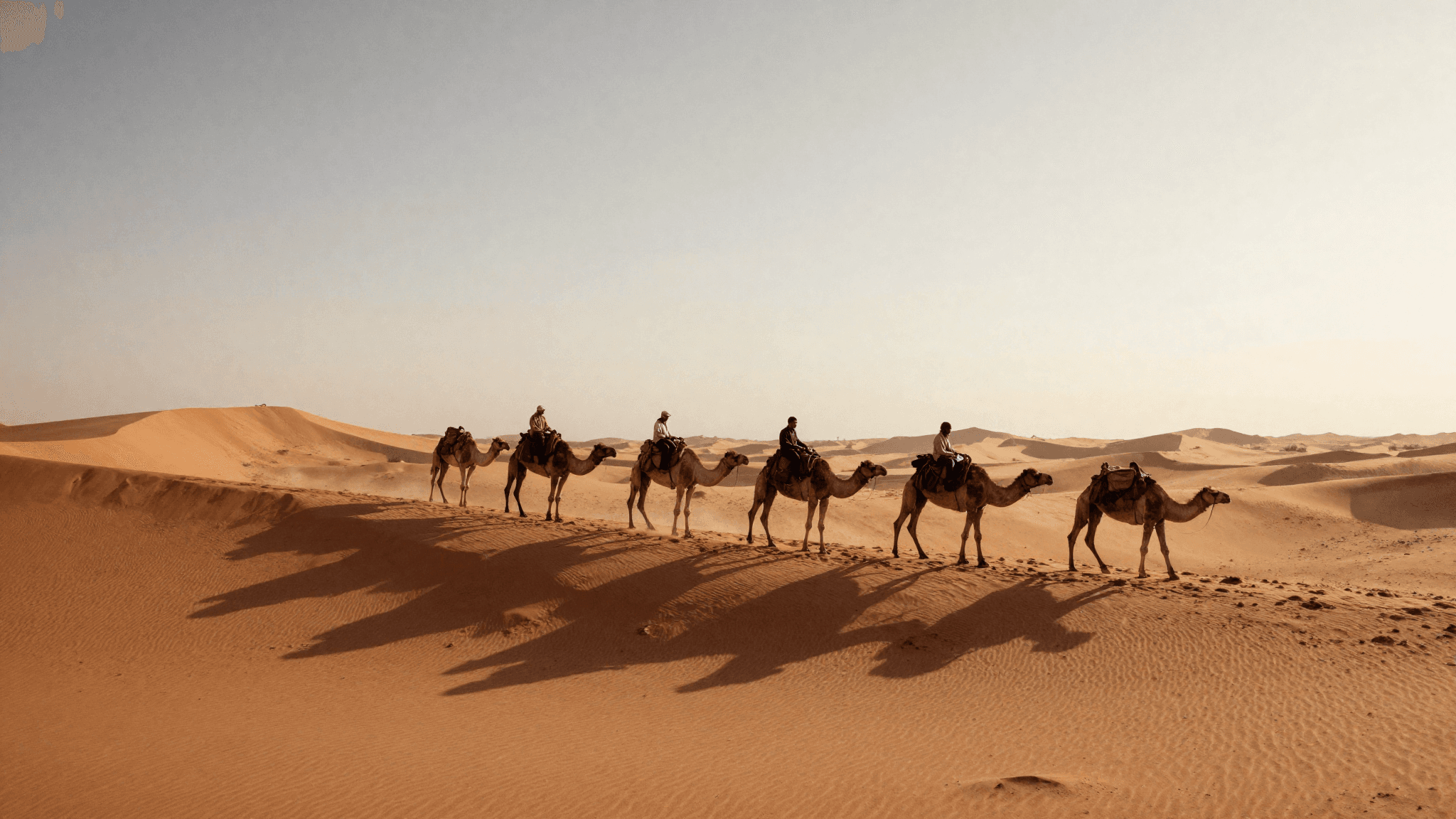 Carovana di cammelli sulle dune di Erg Chebbi, Merzouga